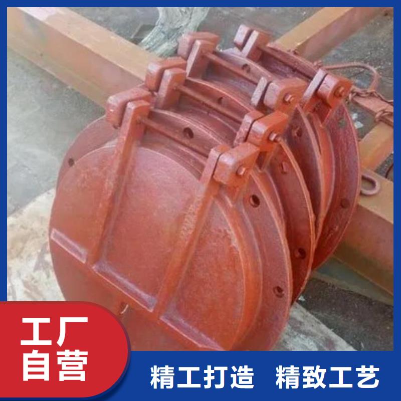 拍门电动装置启闭机现货