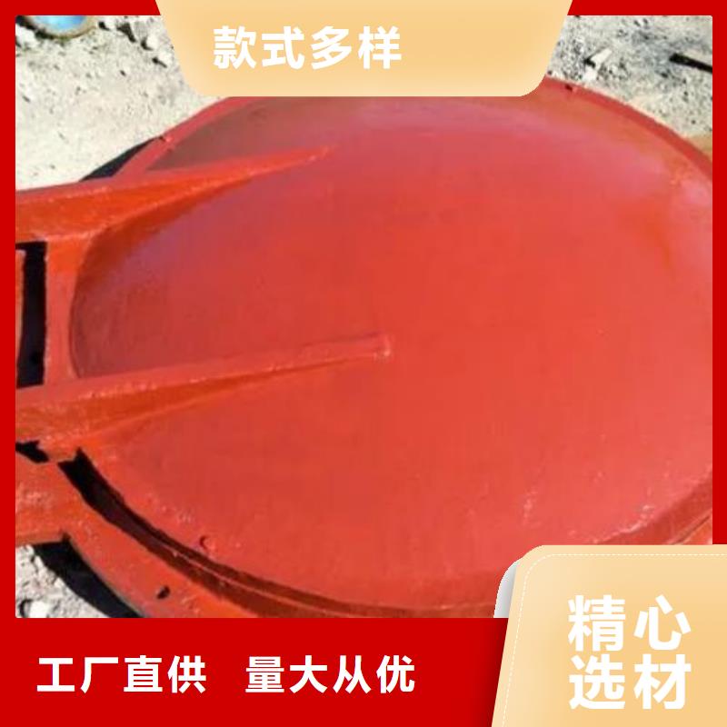 【拍门,钢坝闸门精品选购】