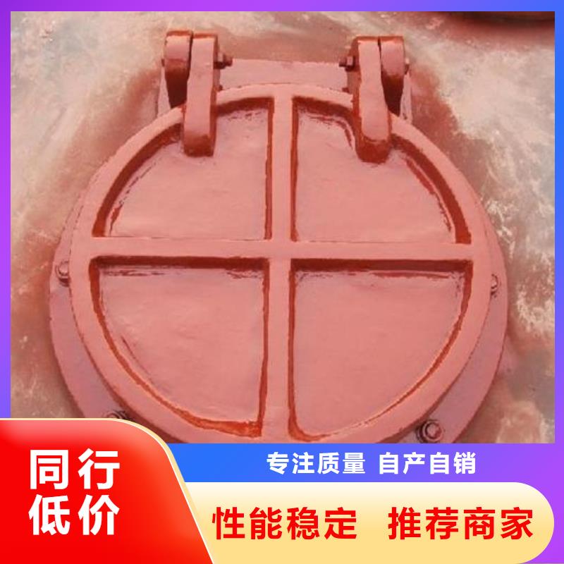 拍门机闸一体式闸门支持定制贴心售后