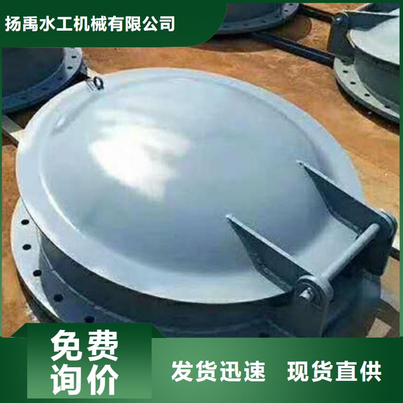 拍门 铸铁闸门选择大厂家省事省心