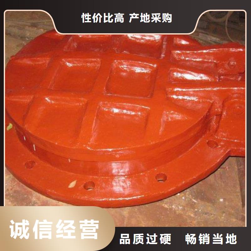 暗杆式启闭机清污机【 拍门钢坝好货直销】