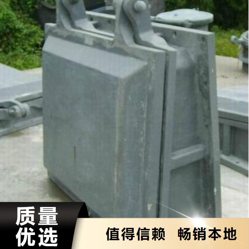 拍门实时报价