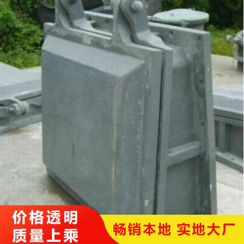 拍门平板钢闸门定制速度快工期短