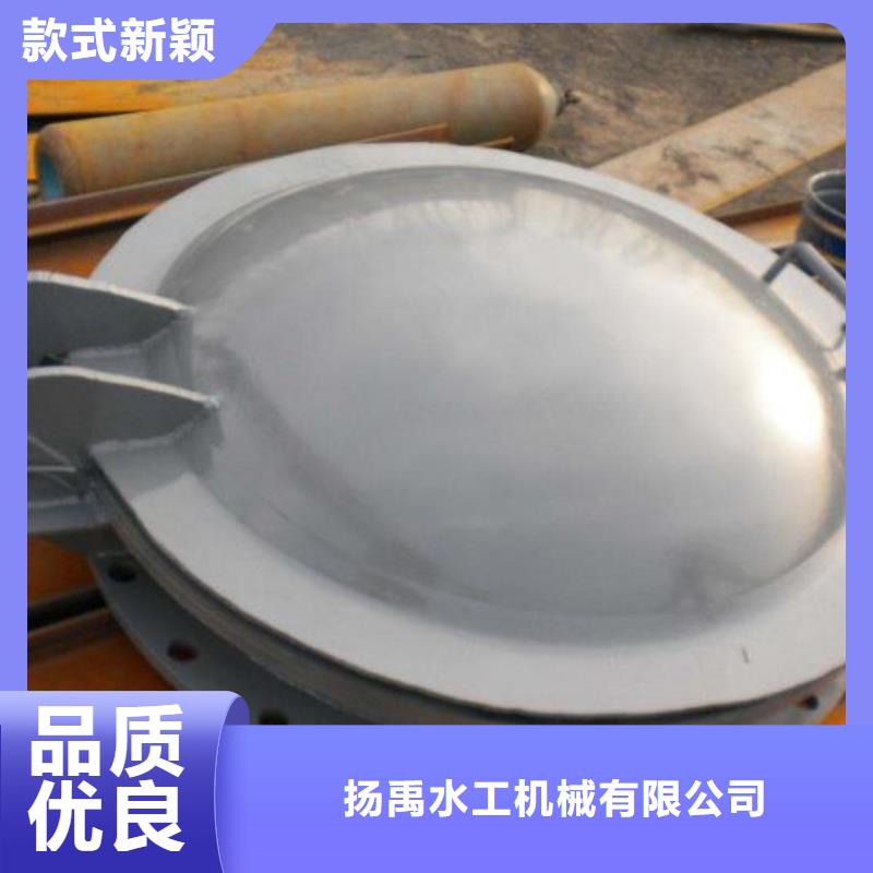 铸铁拍门DN300信息