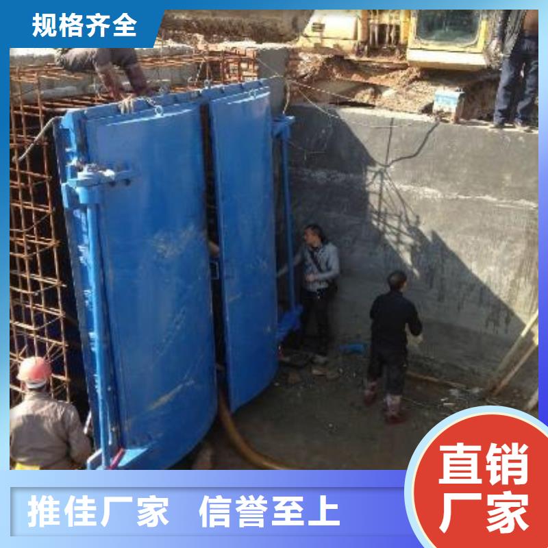 【拍门】球墨铸铁闸门的图文介绍由清污机为您