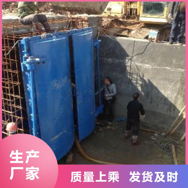 拍门_闸门品质过硬