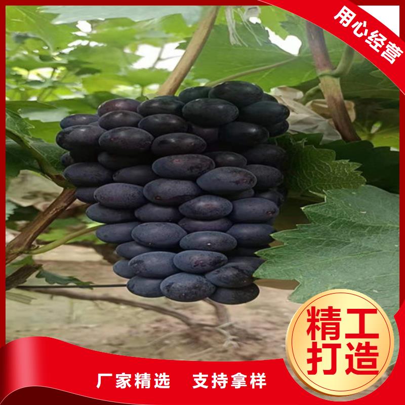 葡萄-油蟠7-7值得买