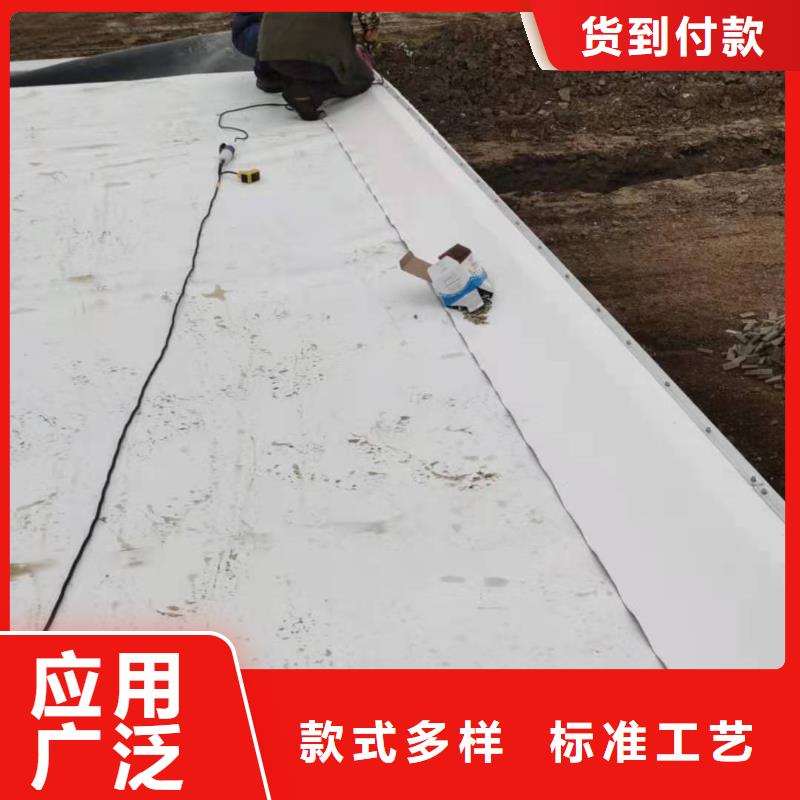 PVCTPO防水卷材低价货源