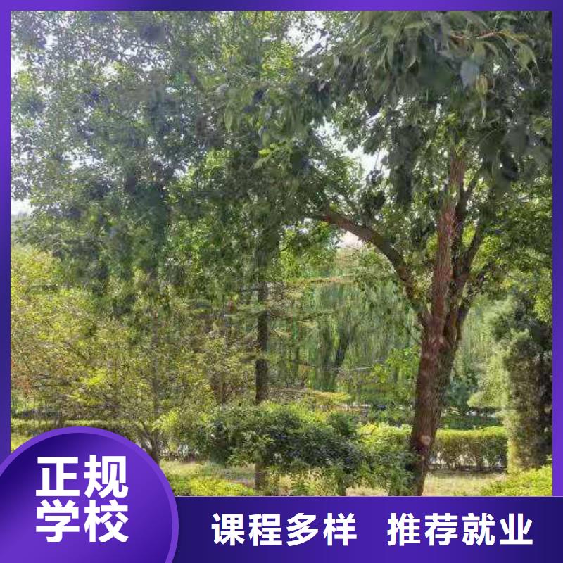 厨师技校-虎振挖掘机学校指导就业