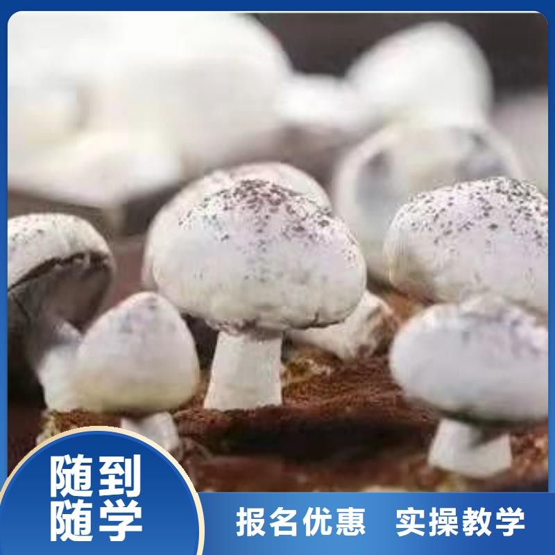 西点学校塔吊课程就业快