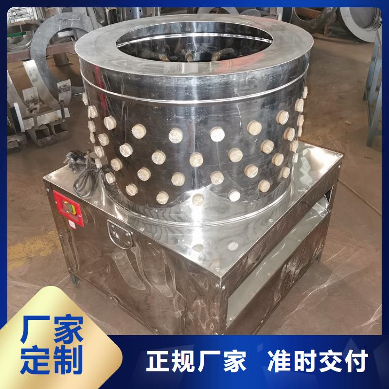 家禽脱毛机【机厂家】好品质选我们浩宇输送机