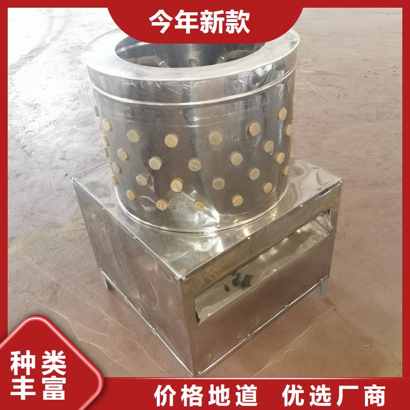 家禽脱毛机【机厂家】好品质选我们浩宇输送机