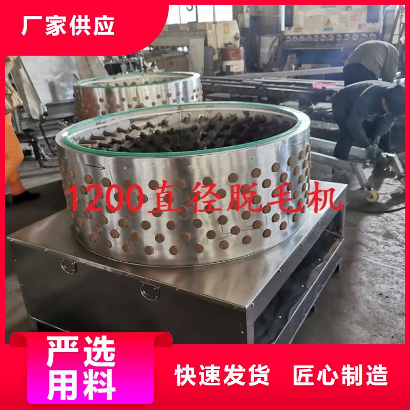 【家禽脱毛机】,输送机海量库存-浩宇输送机械制造厂(常德市分公司)