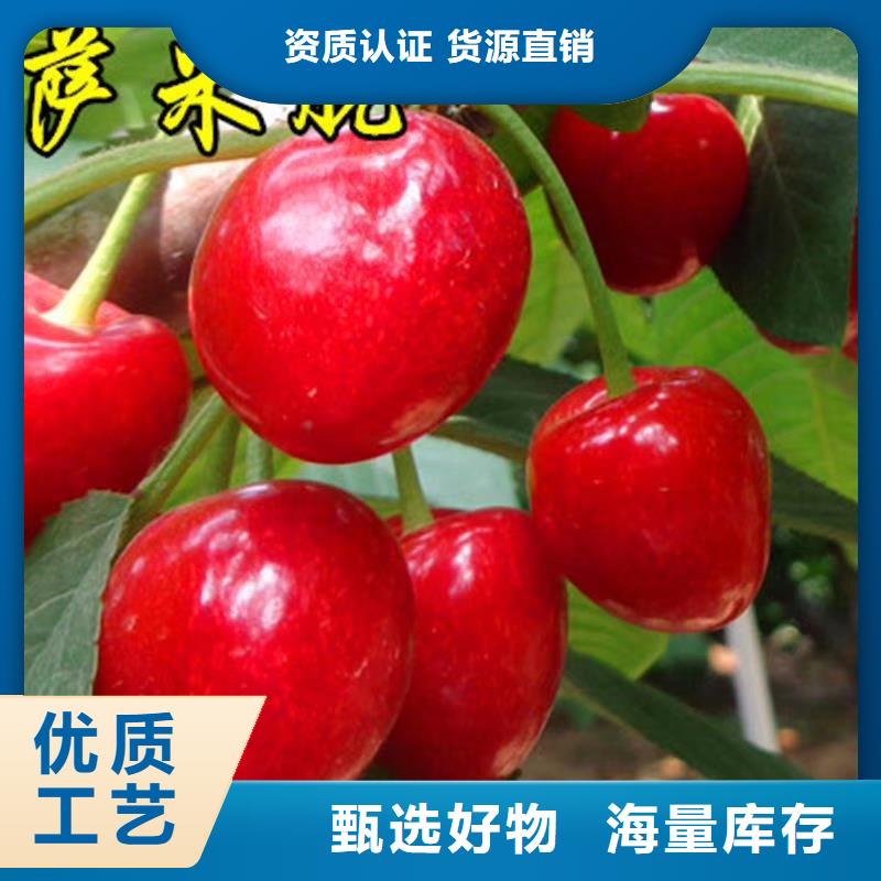 樱桃嘎啦苹果免费寄样
