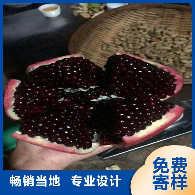 石榴苹果苗实力厂家