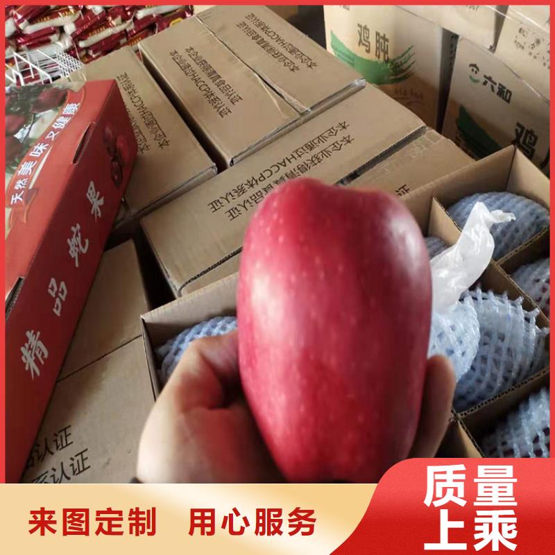 轩园【苹果】,石榴树为品质而生产-云商赢企