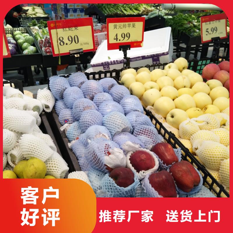 苹果苹果苗服务周到