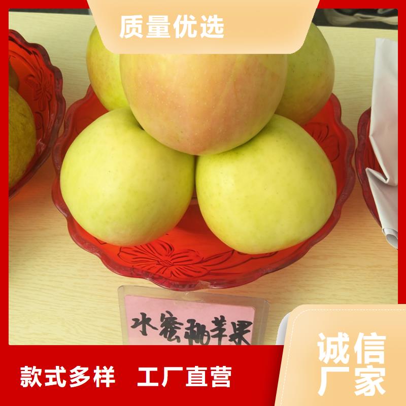 苹果猕猴桃苗品牌专营