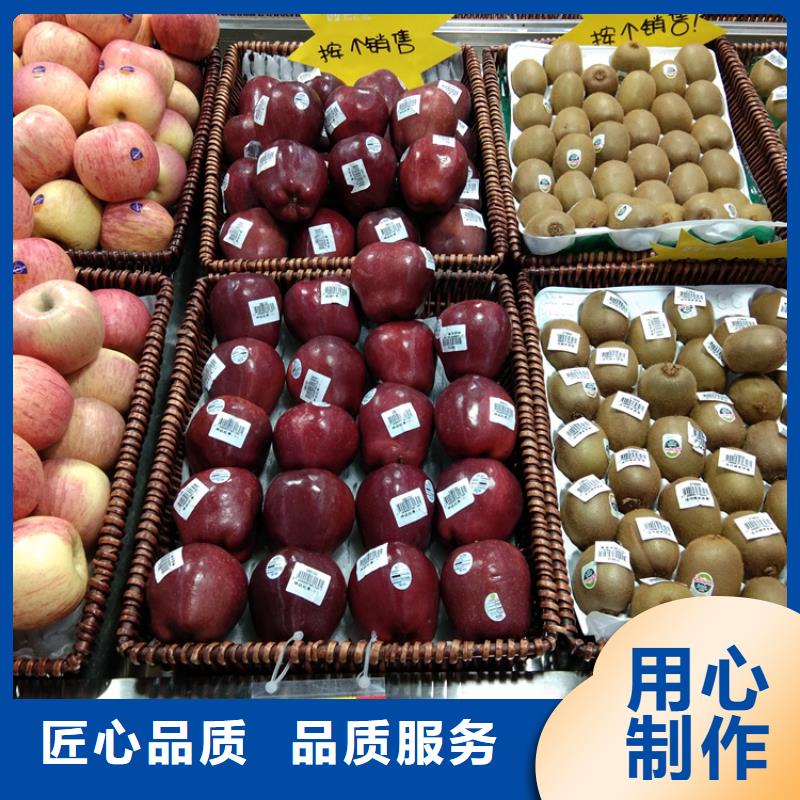 苹果石榴苗多年实力厂家