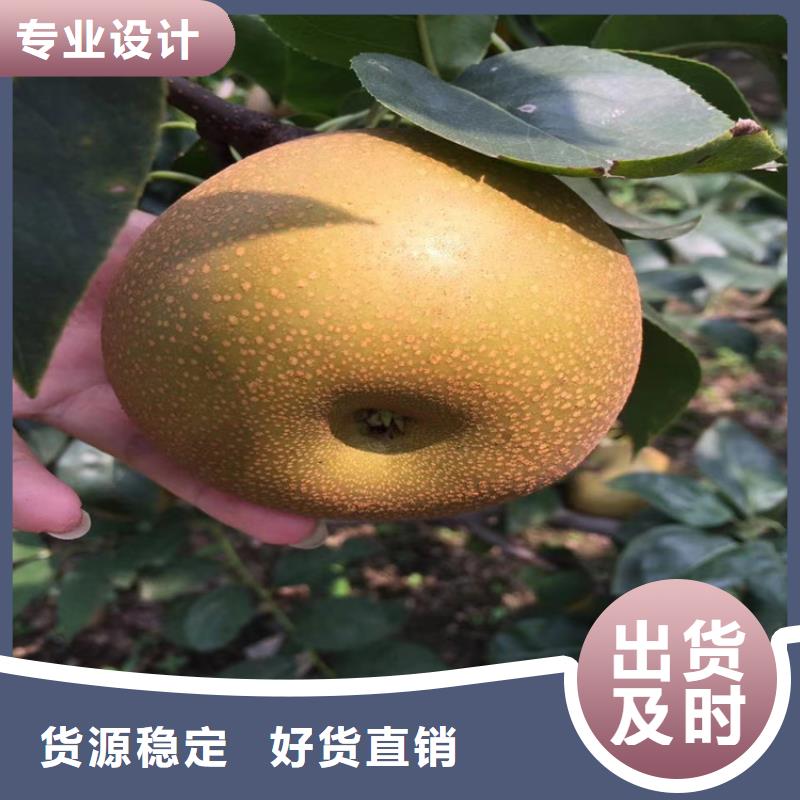 梨树草莓苗质量三包