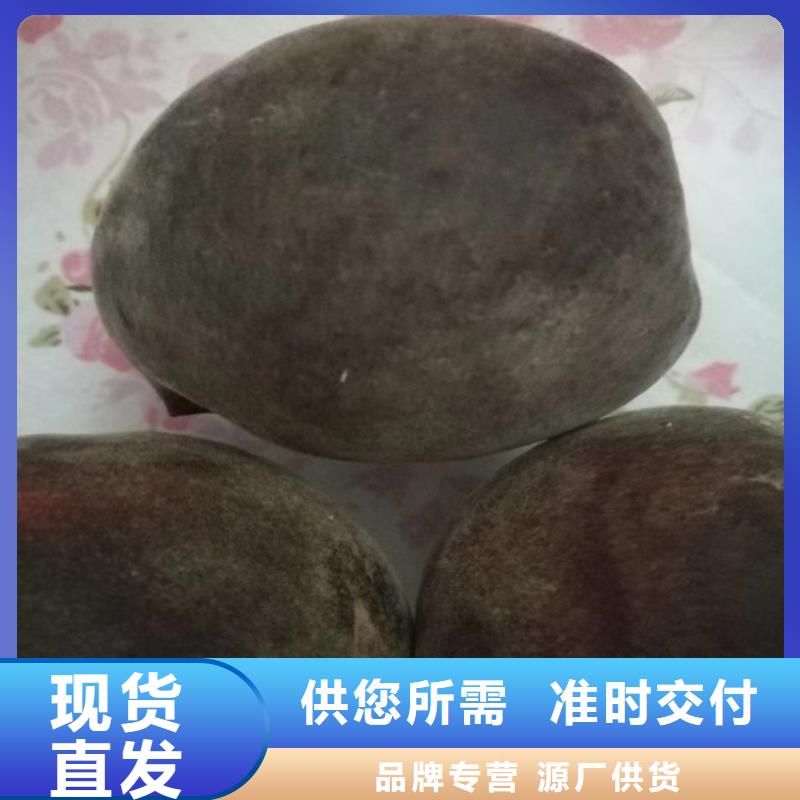 【桃_葡萄苗欢迎来电咨询】