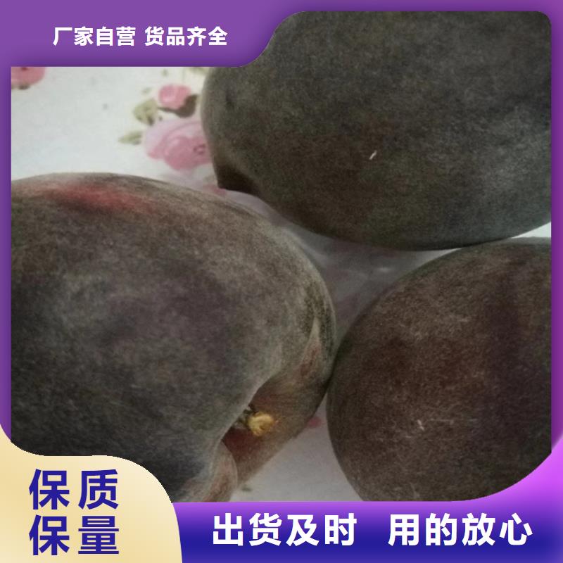 桃奶油草莓量大从优