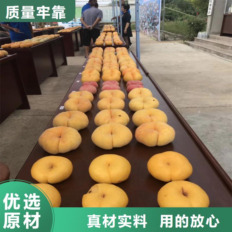 【桃】-蓝莓苗库存丰富同城供应商