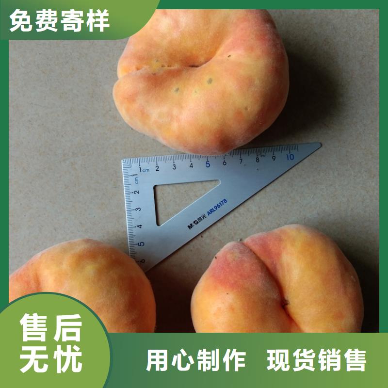 桃,樱桃苗质检合格发货