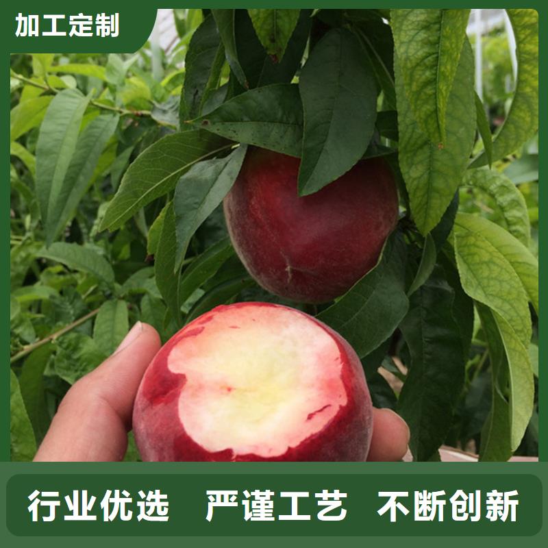 桃草莓苗每一处都是匠心制作
