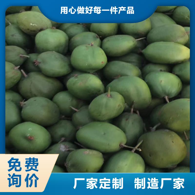 猕猴桃板栗苗专业设计