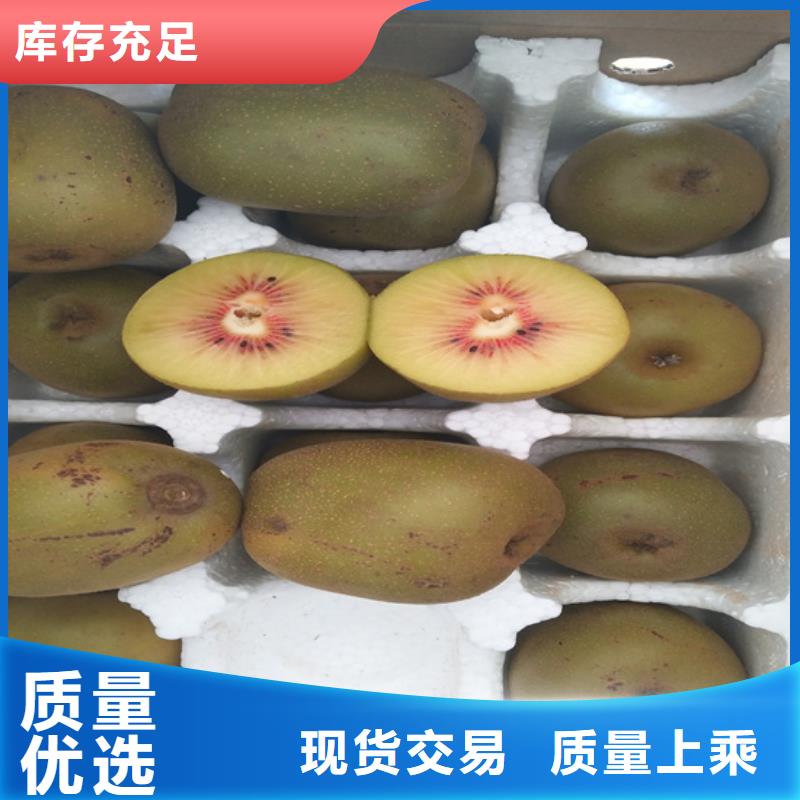 猕猴桃-【无花果苗】好货直供-轩园园艺场(阜阳市分公司)-云商赢企