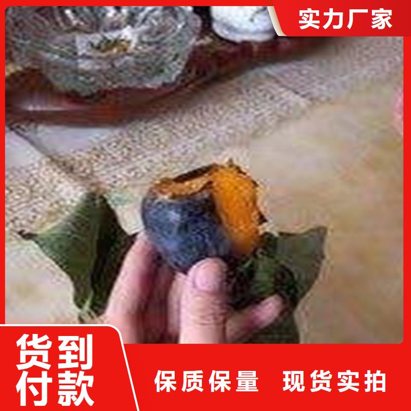 柿子石榴树品种全