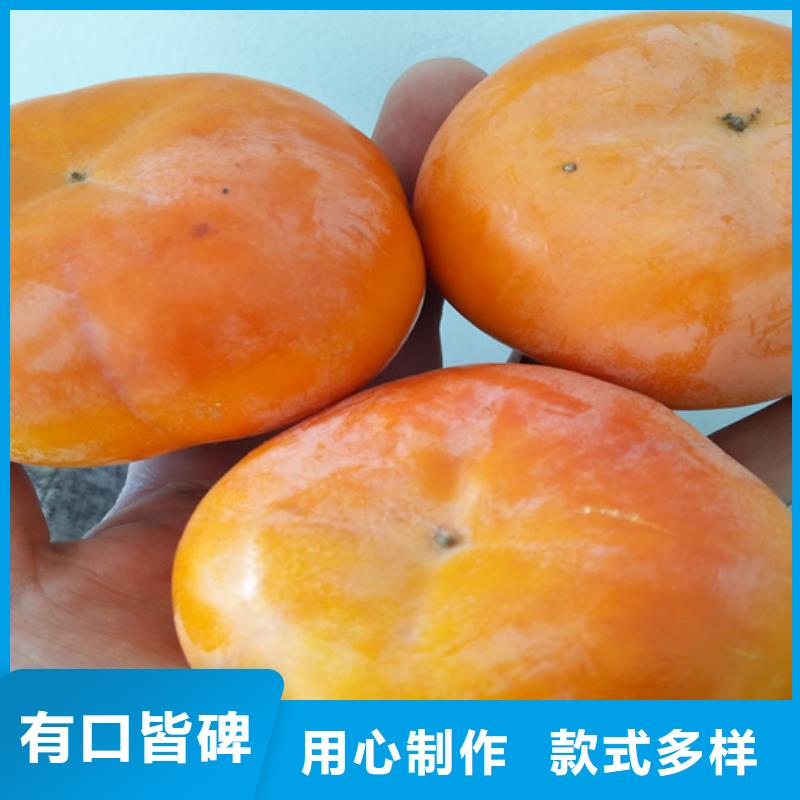 使用寿命长久【柿子】,桃树苗多种工艺-同城品牌