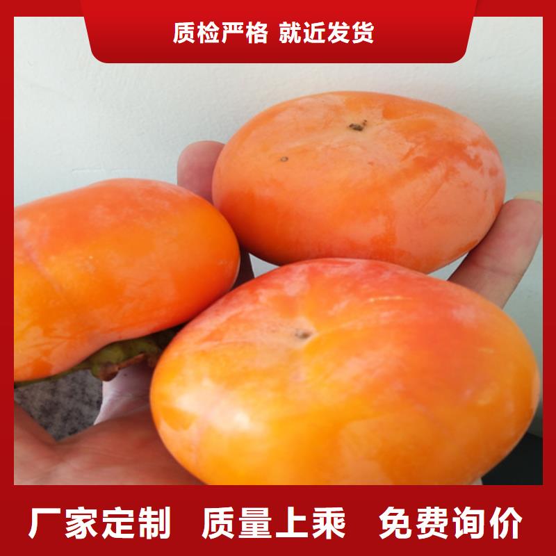 柿子,【樱桃苗】厂家-市场覆盖|上思|港口|百色|崇左|玉林|梧州|贺州|南宁-云商赢企