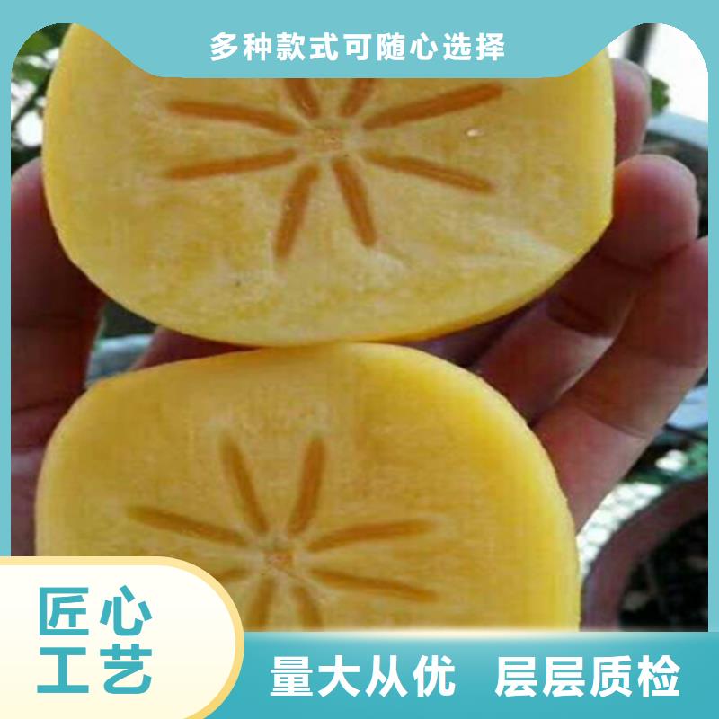 柿子李树苗出厂严格质检