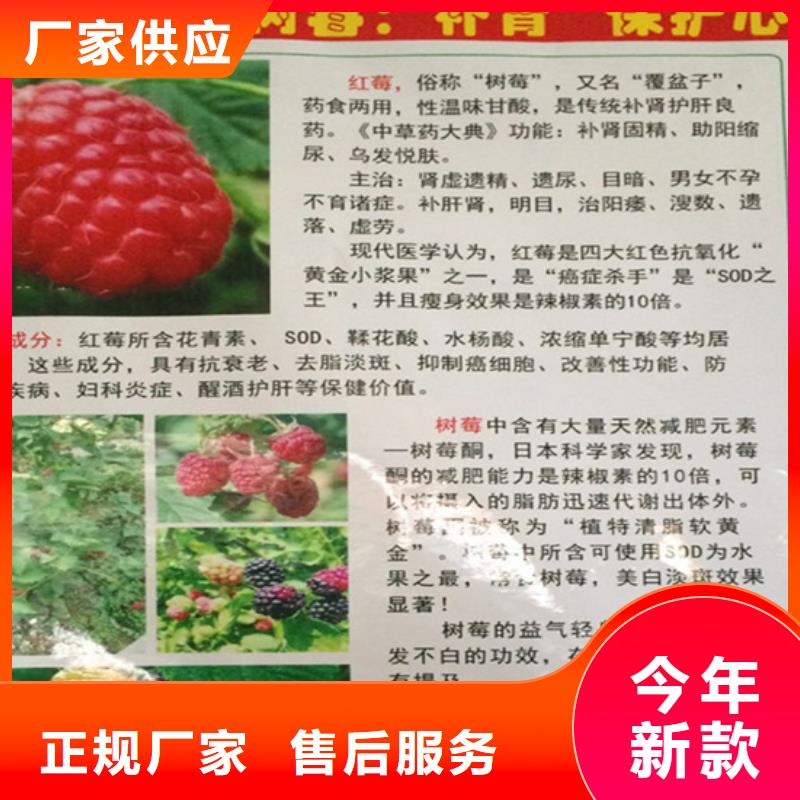 树莓,石榴树产品性能