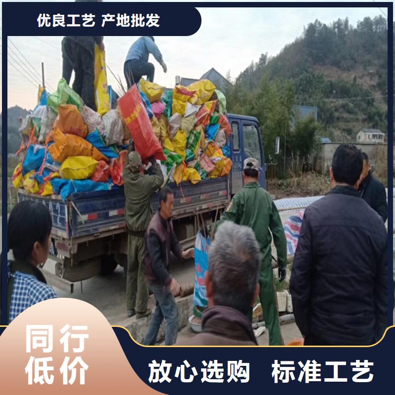 【 碧根果_苹果苗有口皆碑】-服务范围包括乐平|珠山|萍乡|上饶|赣州|九江|宜春等