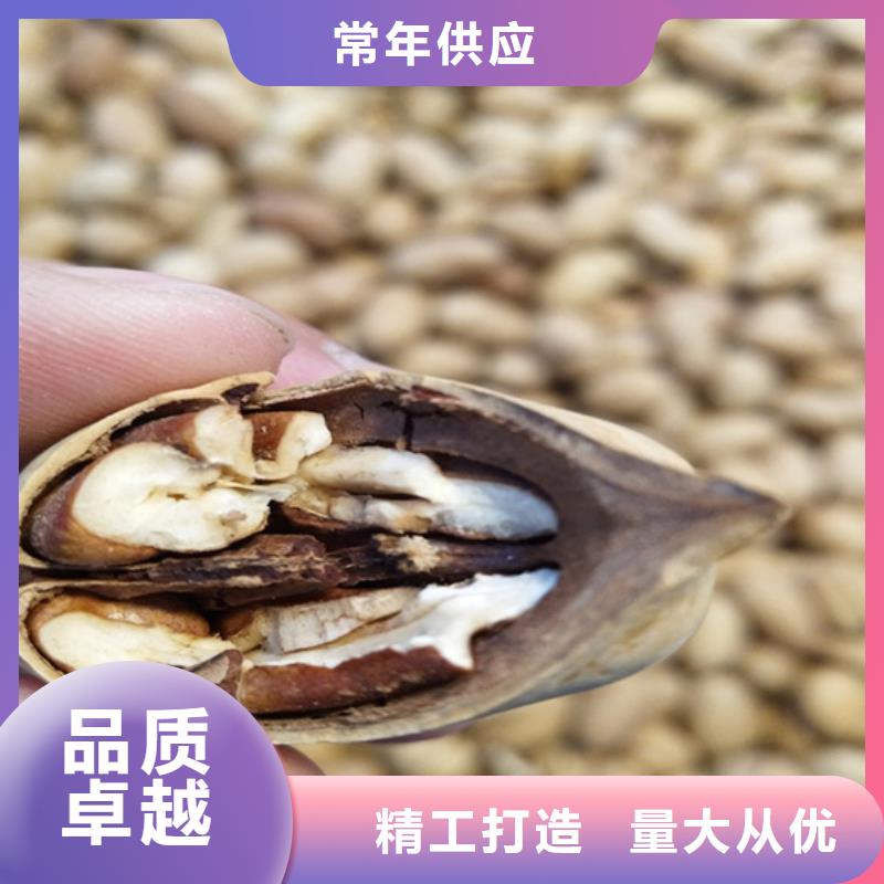 碧根果草莓苗老客户钟爱