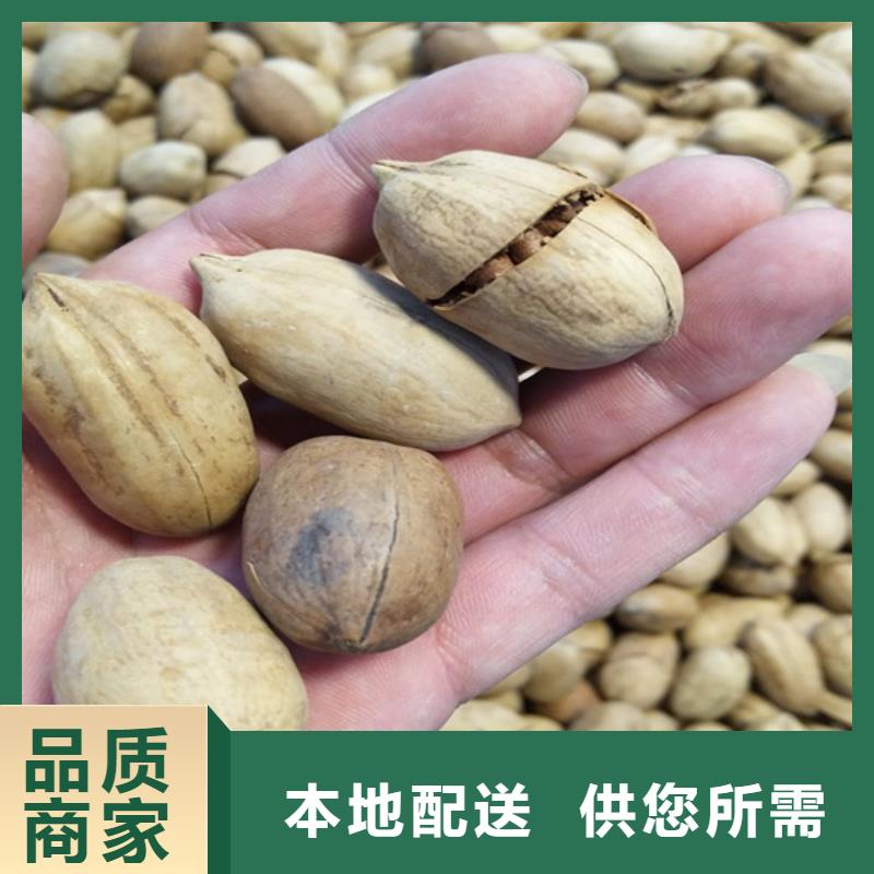 碧根果【桃树苗】直销厂家