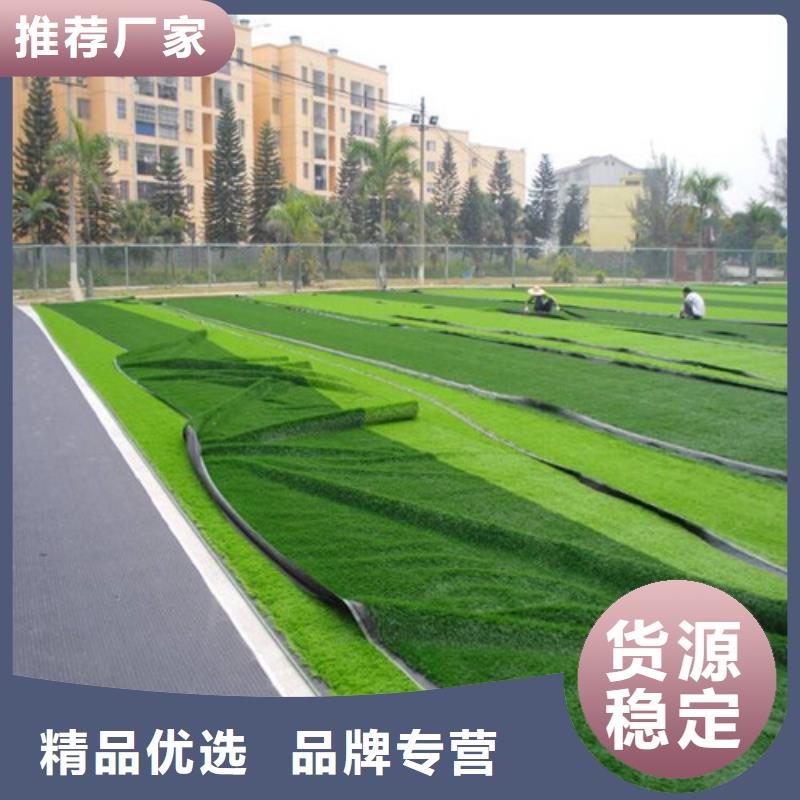 人造草坪-塑胶跑道欢迎来电询价