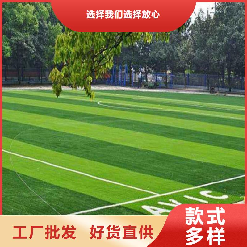人造草坪,校园塑胶跑道源头工厂
