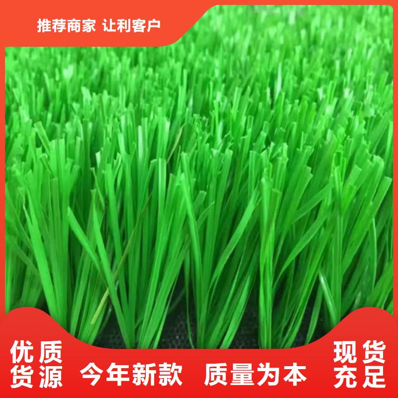 【人造草坪】,塑胶跑道高标准高品质