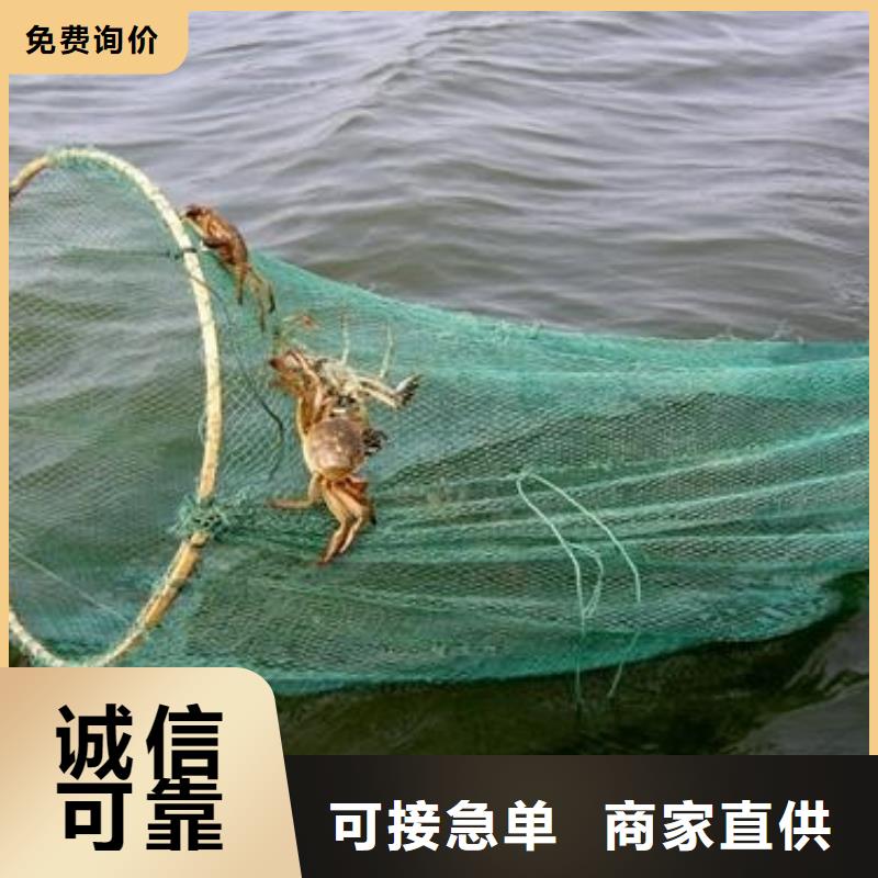 阳澄湖大螃蟹应用广泛