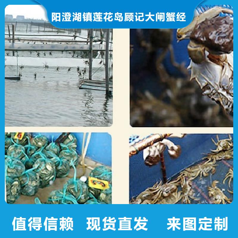 鲜活特大螃蟹养殖基地联系方式
