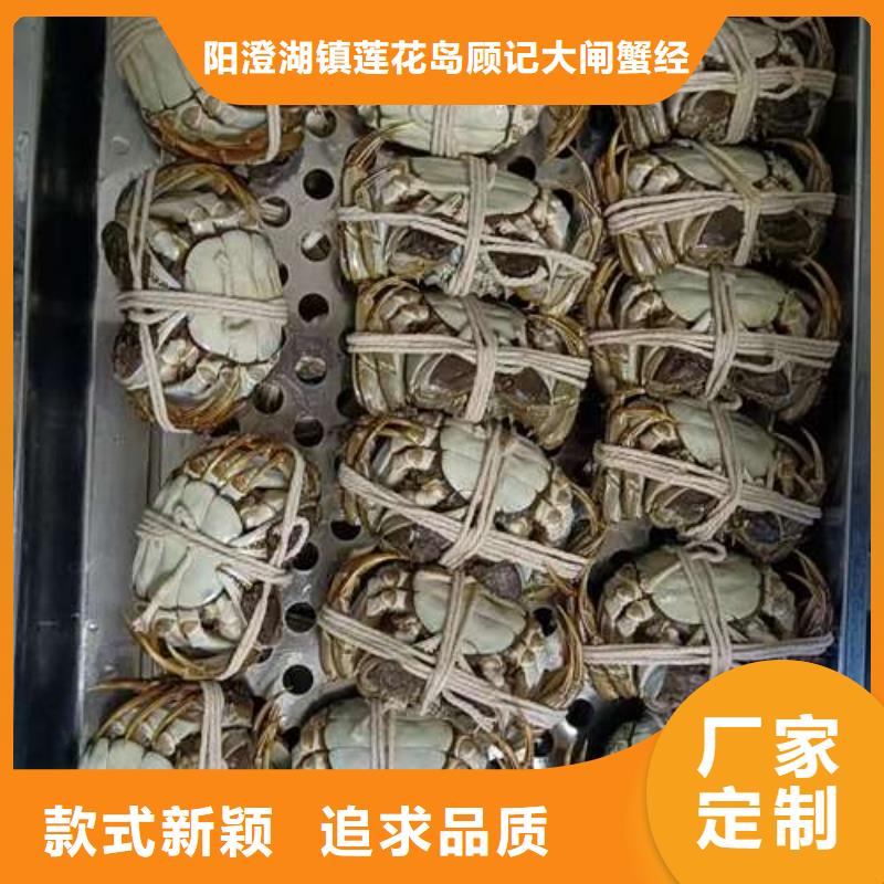 【 螃蟹哪里卖阳澄湖大闸蟹准时交付】|阳澄湖大闸蟹-阳澄湖镇岛顾记大闸蟹经营部(沧州市分公司)