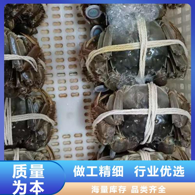 附近精心【螃蟹】_阳澄湖大闸蟹订购畅销当地_好品质用的放心