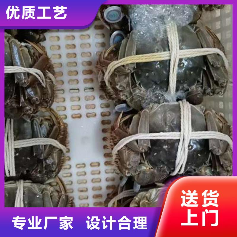 阳澄湖大闸蟹-阳澄湖大闸蟹品质保证