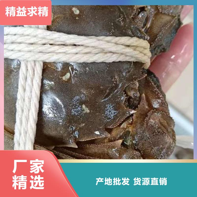 阳澄湖大闸蟹源头厂商