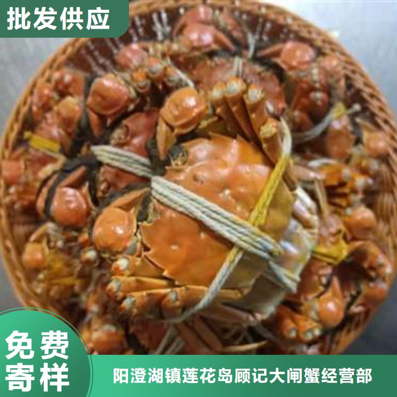 深圳市鲜活特大螃蟹价格行情