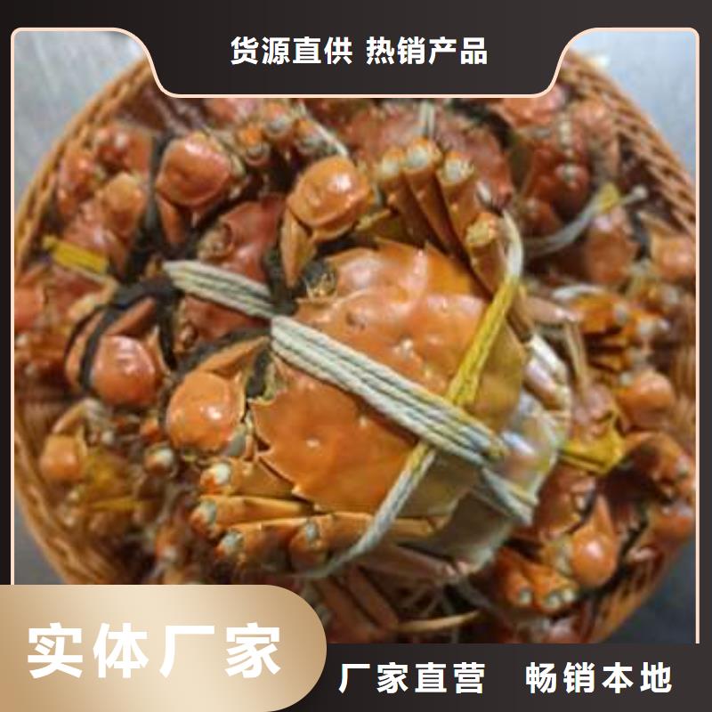 畅销本地【螃蟹】 网上订购大闸蟹当日价格-39065.com